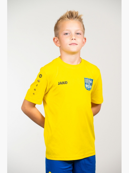 DENI DŽAFERI