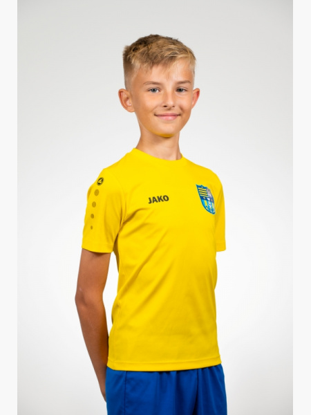 DENI DŽAFERI