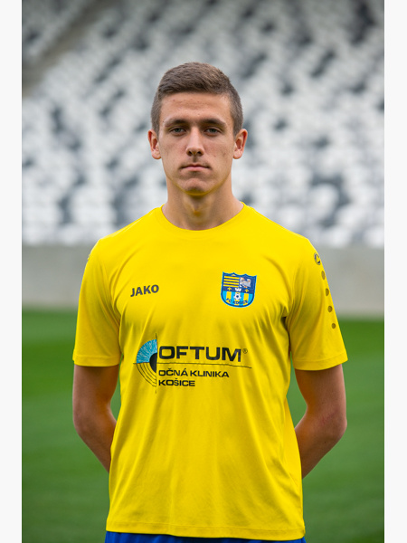DOMINIK VESELÝ
